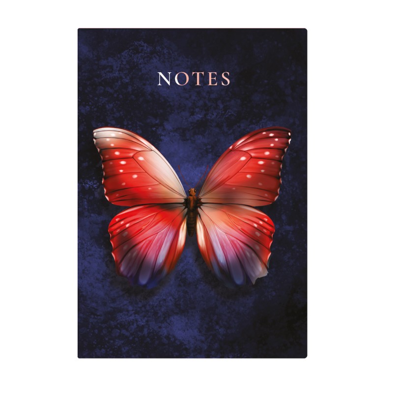 404 Notes found, B5 jegyzetfüzet, Butterfly Red