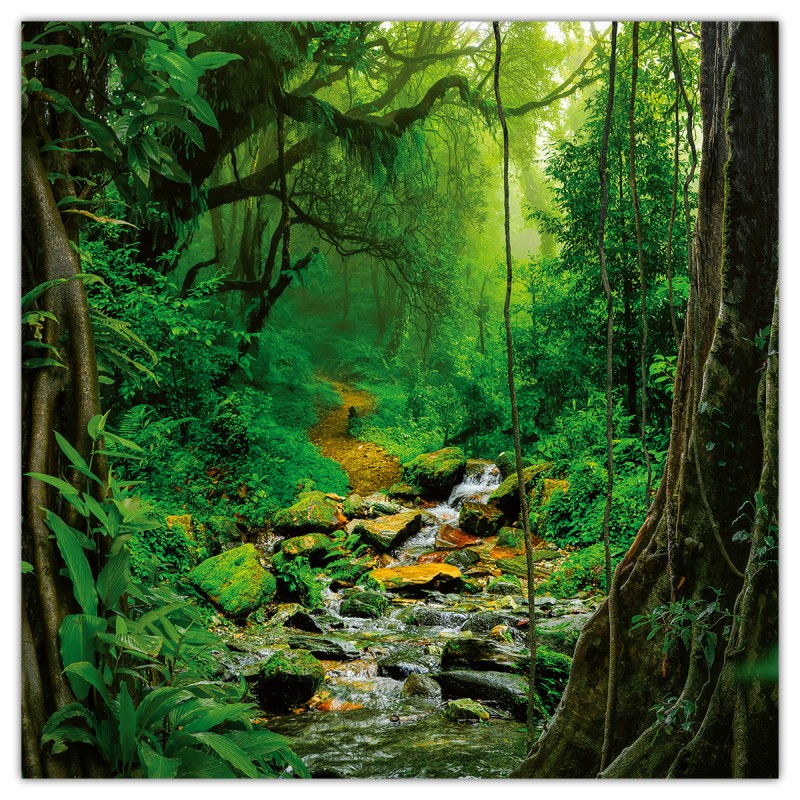 Amazing Rainforest, képes lemeznaptár 2026