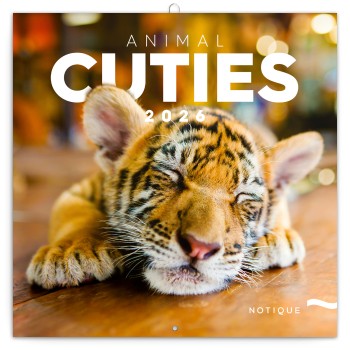 Animal Cuties, képes lemeznaptár 2026